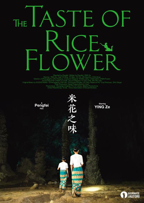 买个假加拿大护照